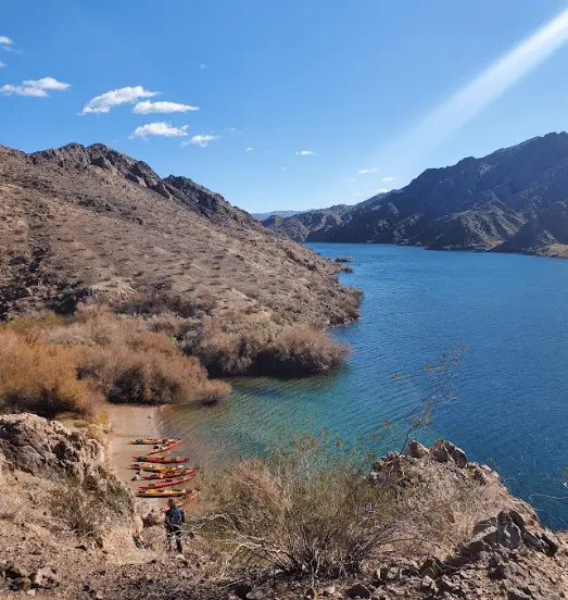 Person enjoying a peaceful nature immersion experience